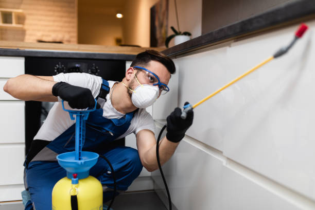Best Best Pest Control Companies  in Tallapoosa, GA