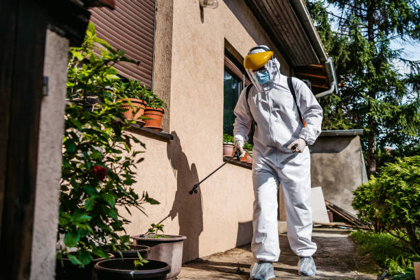 Best Rat Extermination Near Me  in Tallapoosa, GA