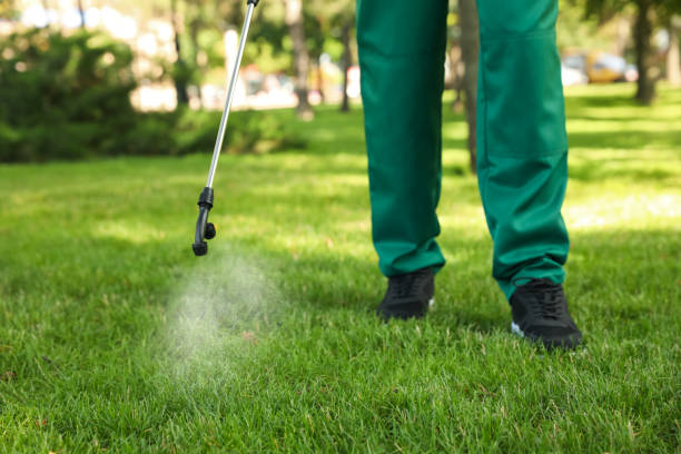 Reliable Tallapoosa, GA Pest Control Solutions