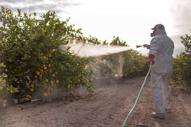Best Termite Control Services  in Tallapoosa, GA