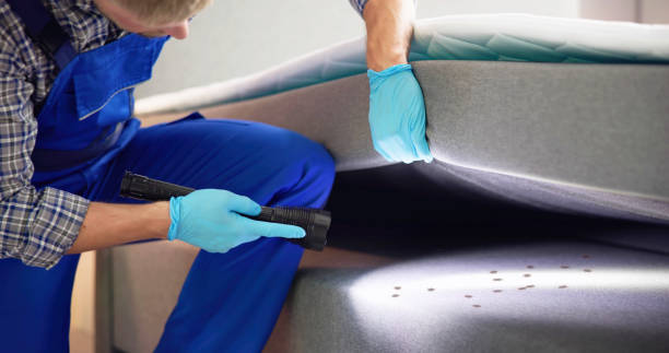 Best Mosquito Control Services  in Tallapoosa, GA