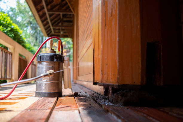 Best Pest Control Near Me in Tallapoosa, GA