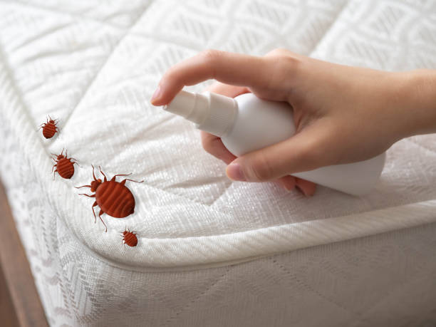 Wasp Removal Services in Tallapoosa, GA