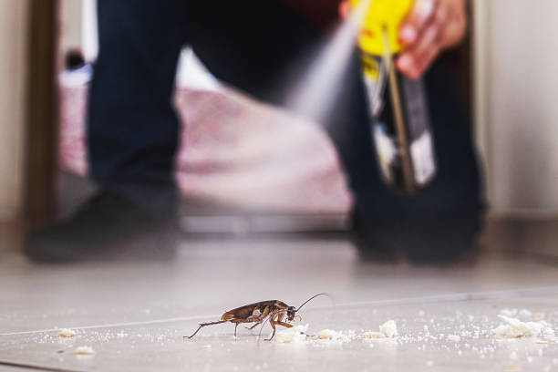 Best Flea Control Services  in Tallapoosa, GA